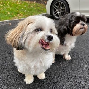 Meet your Posher, Jonila